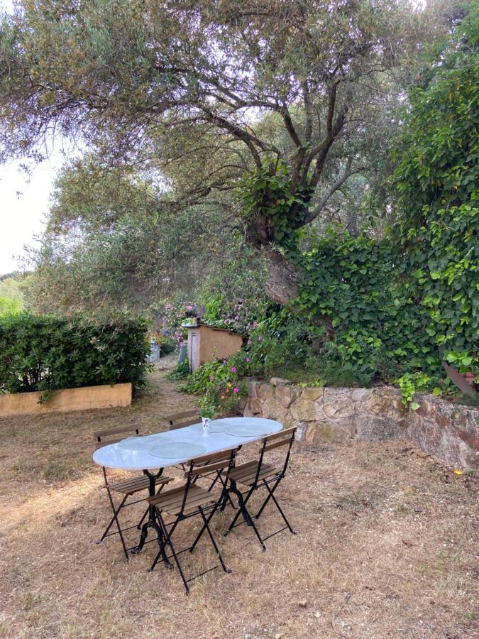 Seaview Garden Villa LʼÎle-Rousse Dış mekan fotoğraf
