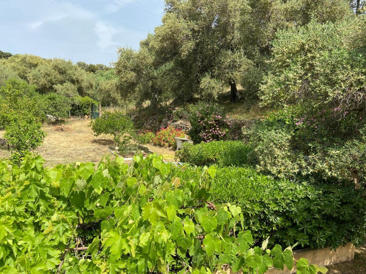 Seaview Garden Villa LʼÎle-Rousse Dış mekan fotoğraf